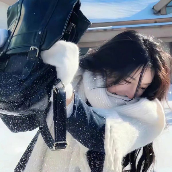 北城折柳海报